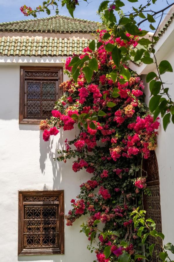 Riad Alma Марракеш Экстерьер фото