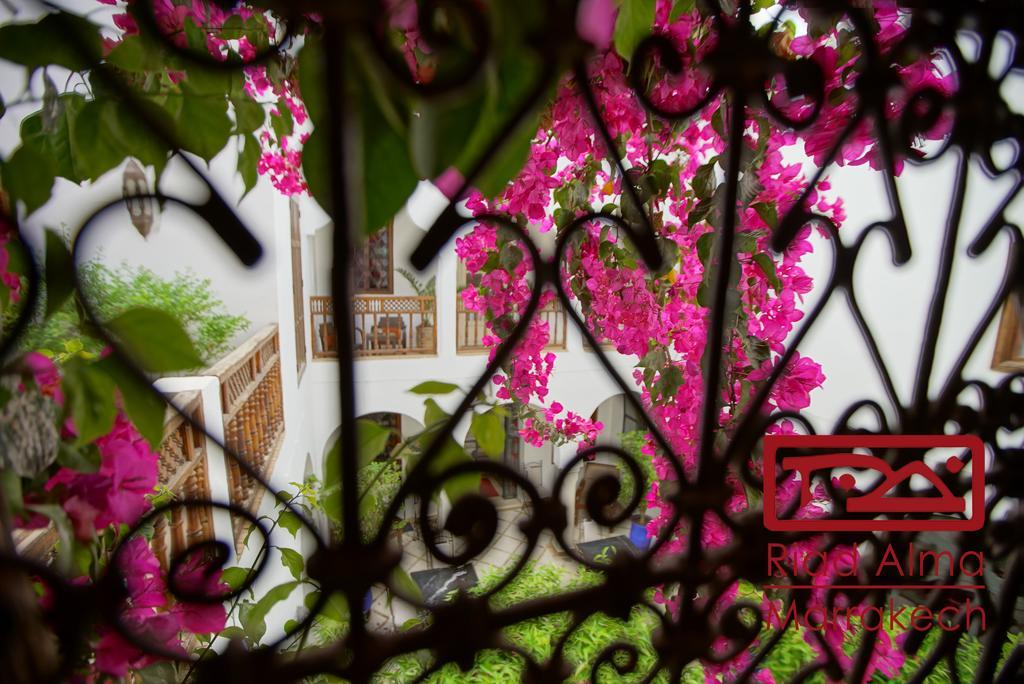 Riad Alma Марракеш Экстерьер фото